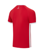Футболка игровая DIVISION PerFormDRY Element Jersey, красный