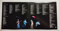 Винтажная виниловая пластинка LP Queen A Day At The Races (Japan 1976) (No Obi) (Insert)
