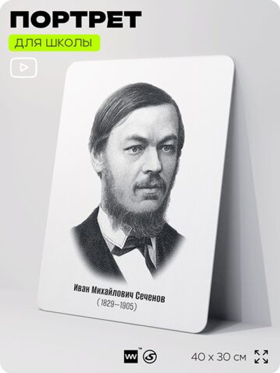 Портрет для школы в кабинет биологии "Иван Михайлович Сеченов", стенд школьный для класса, деятели науки для оформления классного уголка, 40х30 см, Silver Plane x Айдентика Технолоджи