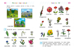 Изучаю мир вокруг: для детей 5-6 лет (новое оформление)
