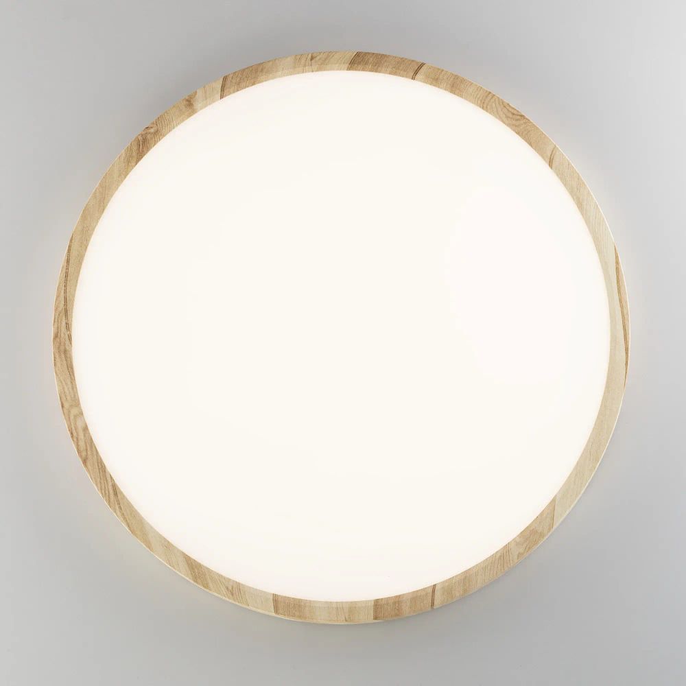 Citilux БейсикCL738322V LED Светильник накладной Клён