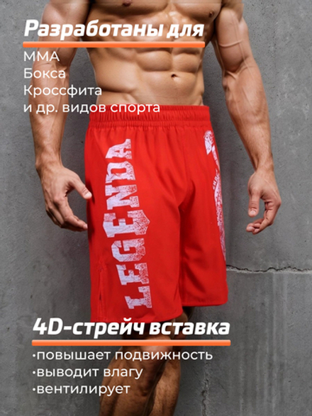 Шорты спортивные тренировочные LEGENDA Щит и Меч красный