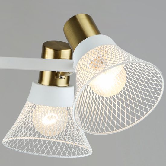 06245-0.3-04 WT+COP светильник потолочный