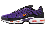 Кроссовки Nike Air Max Plus