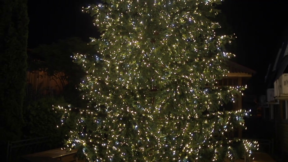 Светодинамическая елка ствольная со скамейкой, встроенная гирлянда: Теплый свет - "Лесная" (Литая хвоя) от 6 до 18 м