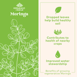 Organic India, моринга, 90 вегетарианских капсул (350 мг в 1 капсуле)