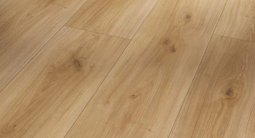 Basic 600 XL Дуб Горизонт, 3,208 м²