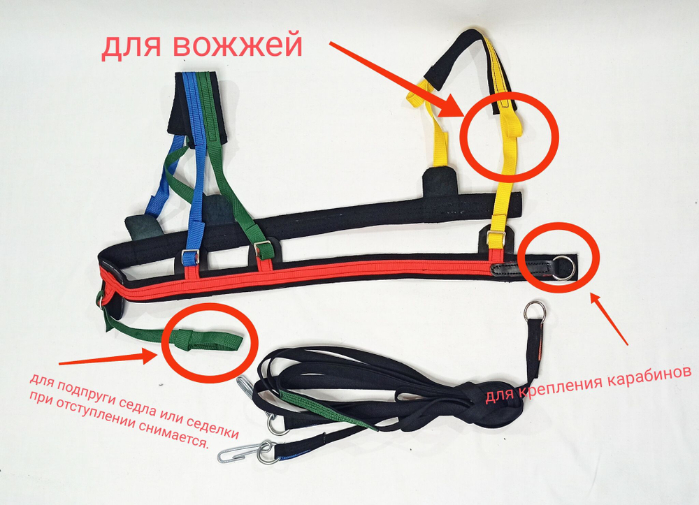 Шлейка для катания на ватрушке для пони и ослика, скиджоринг-красная