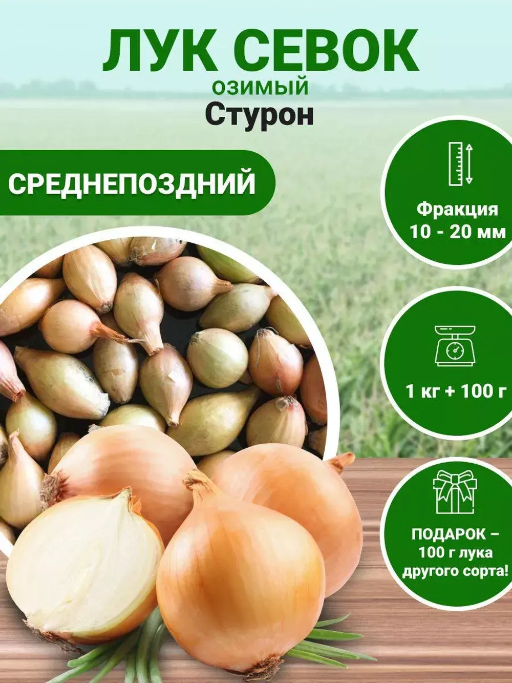 Лук севок озимый для посадки Стурон 1 кг