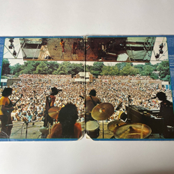 Винтажная виниловая пластинка LP The Original Blues Project Reunion In Central Park (USA 1973)