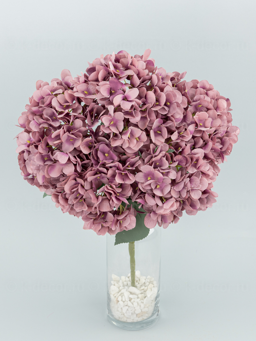 Букет гортензия Садовая