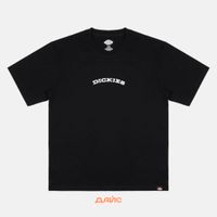  Футболка мужская Dickies Outdoor артикул:DK0A4Z8PBLK1 - купить в магазине Дайс