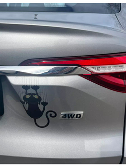 Наклейка на авто надпись с котом