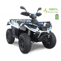 Электроквадроцикл Green Camel Linhai A-LH40DA (3900W 50 км/ч)