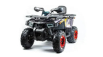 Квадроцикл MOTOLAND 200 WILD TRACK X PRO (2022)
