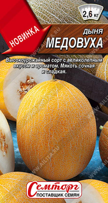 Дыня Медовуха 1г Ц Аэлита