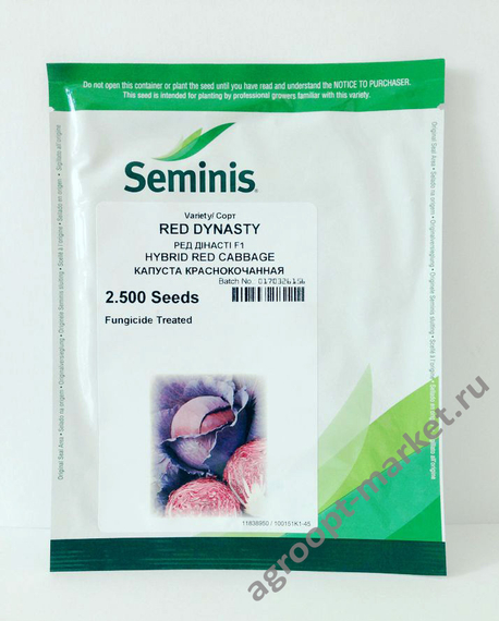 Ред Династи F1 семена капусты краснокочанной (Seminis / Семинис) – фото 2