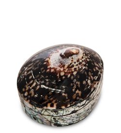 Decor and Gift 54-040 Декоративная шкатулка «Ракушка»