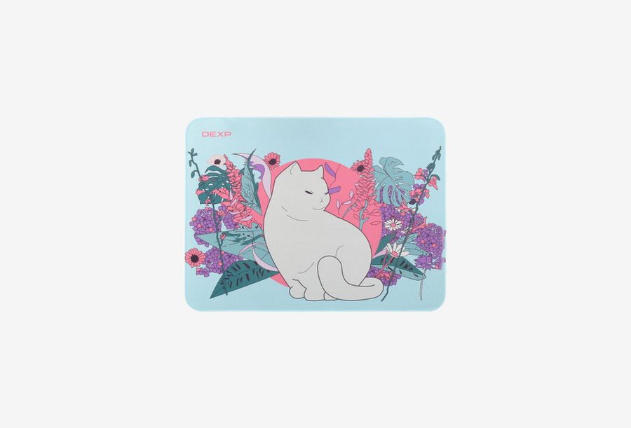 DEXP OM-L Asia Cat_0126522102452