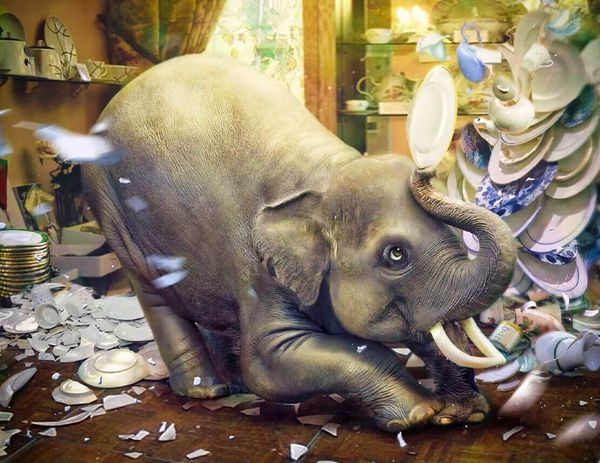 Слон в посудной лавке, или инсулин в лечении СД2