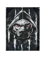 Рашгард MMA Cerberus для детей