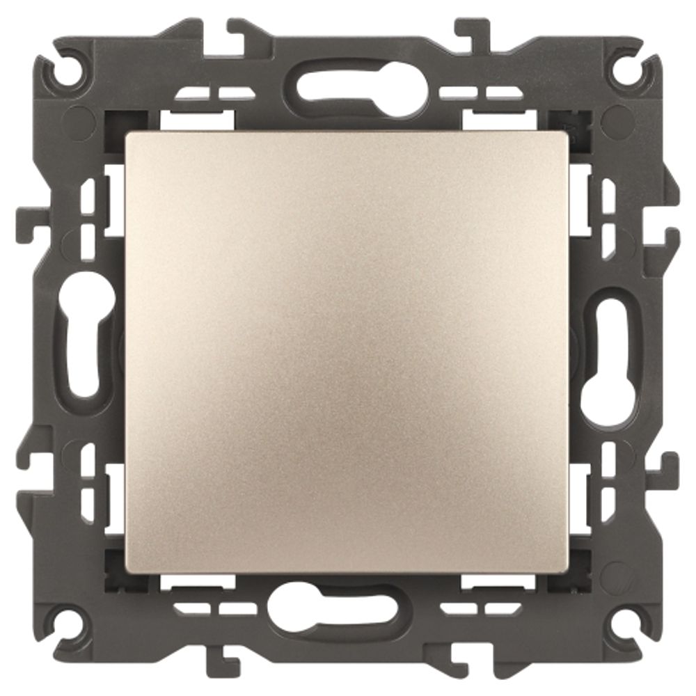 14-1103-04 ЭРА Переключатель, 10АХ-250В, IP20, Эра Elegance, шампань | Elegance Шампань