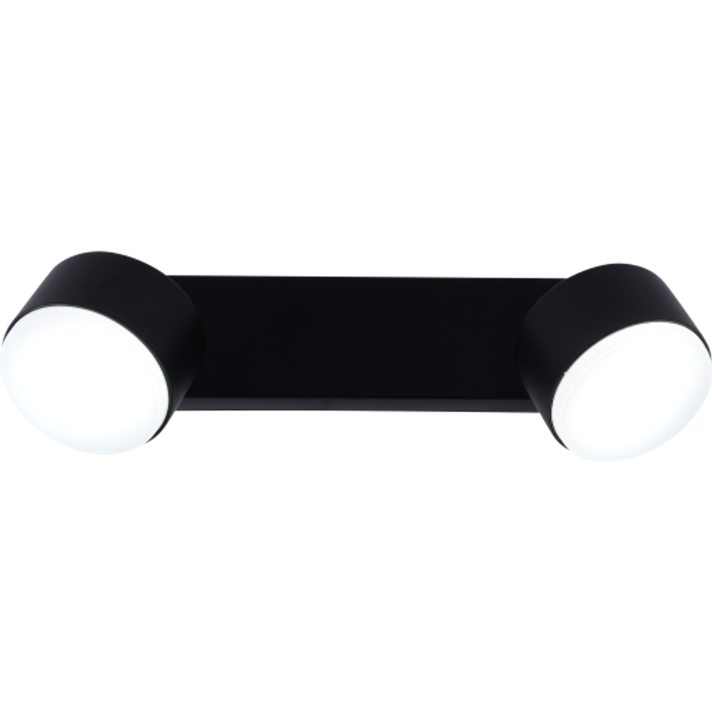 Светильник настенно-потолочный спот Rivoli Alesta 7079-702 2хGX53 15 Вт поворотный | Rivoli