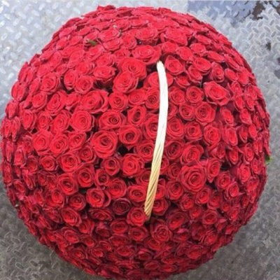 Корзина из 301 красной розы