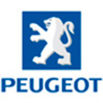 Коврик в багажник PEUGEOT