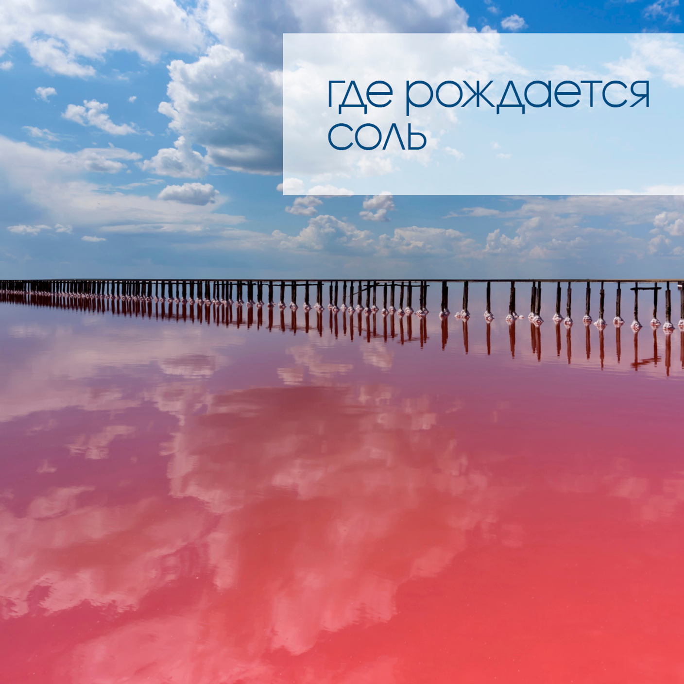 Где рождается соль?