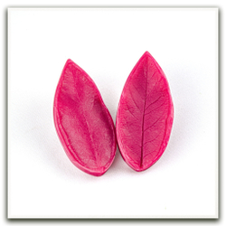 Листья жимолости