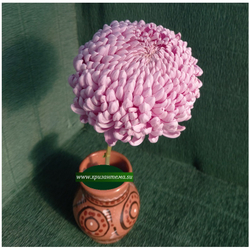 Хризантема крупноцветковая Chessington Lilac ☘  ан 9 (временно нет в наличии)