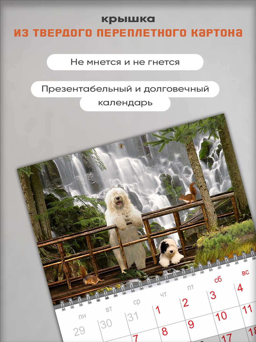Настенный отрывной календарь "Собаки у водопада"