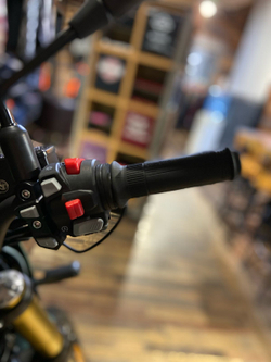 Benelli Leoncino 800 Trail