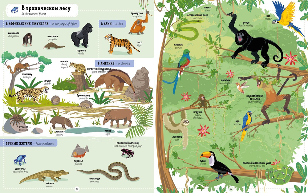 Главная книга малыша. Я учу английский. 1000 животных