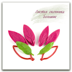 Листья окопника большие