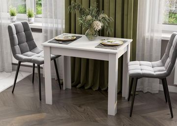 Стол обеденный СО-1 белый (900*740*600) /1/