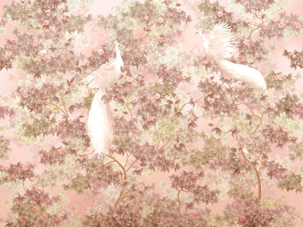 Коллекция Aurora