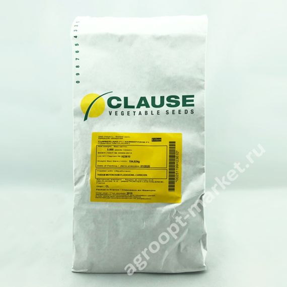 КАМБЕРЛЭНД F1 семена кукурузы (Clause | Alexagro)