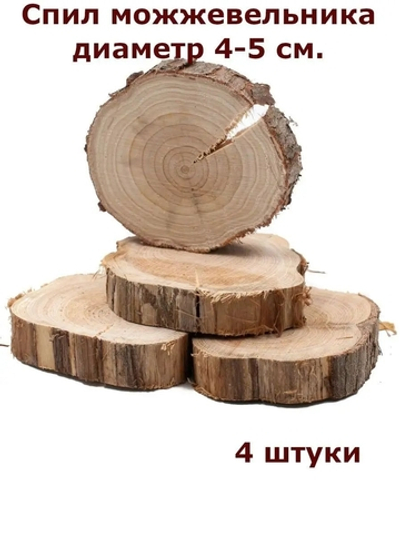 Можевельник спилы 4 шт диаметр 3-5см