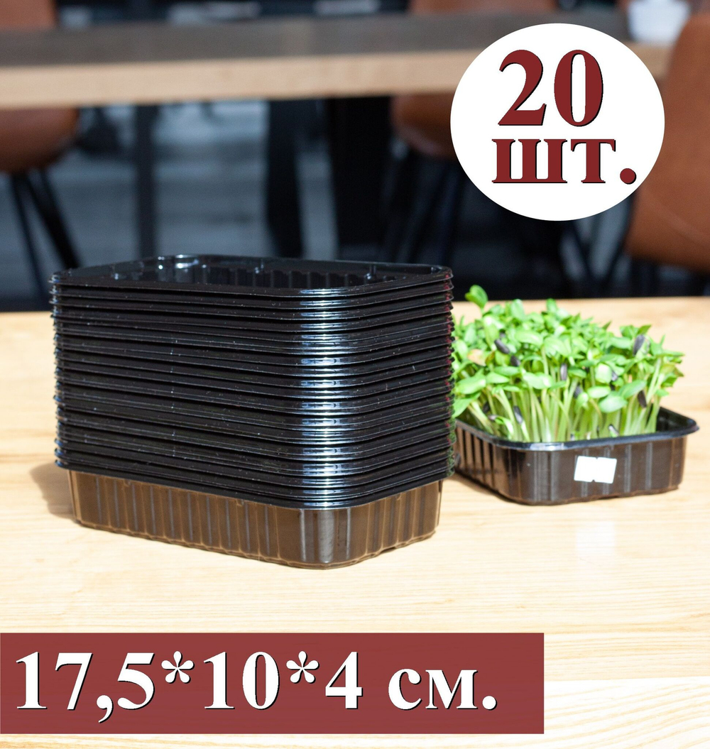 Лотки для выращивания черного цвета 20 штук, 175*100*40 (дно 165*95), пластиковые контейнеры, лотки для выращивания микрозелени, контейнеры для проращивания рассады, вес 10гр