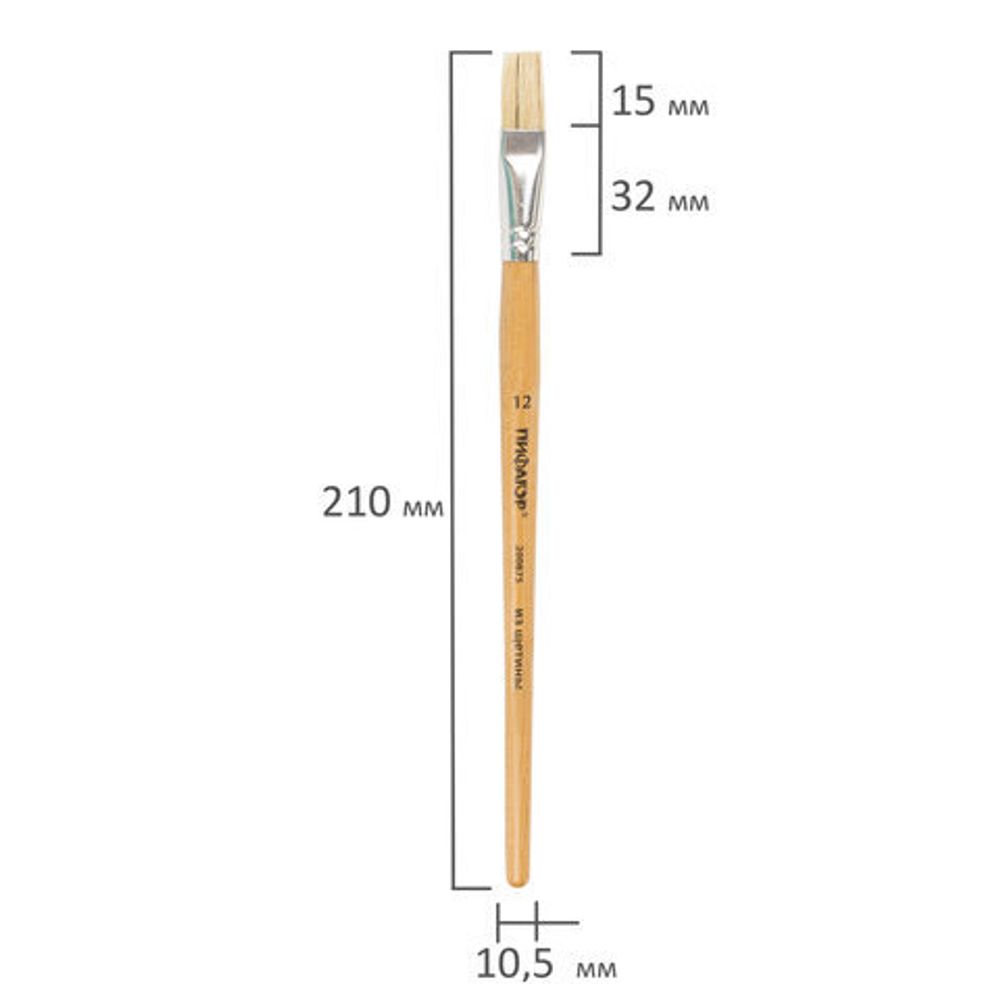 Кисть ПИФАГОР, щетина, плоская, № 12, 200875