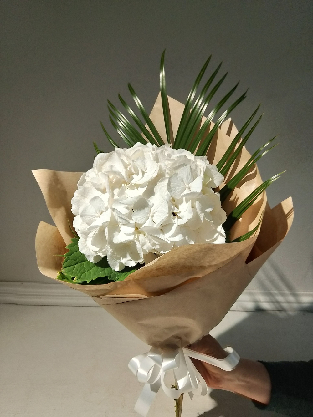 Комплимент с гортензии небесно-голубого цвета (М0030)