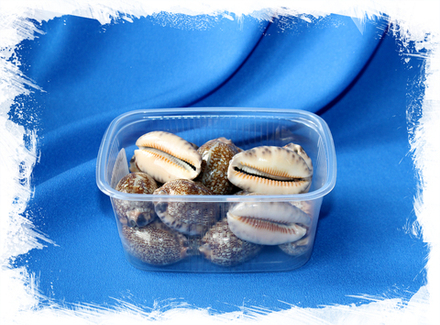 Ципрея Арабика, 3-6см, 120гр, 10шт, 250мл