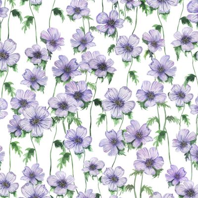 Фиалковый луг. Viola. Summer flowers.