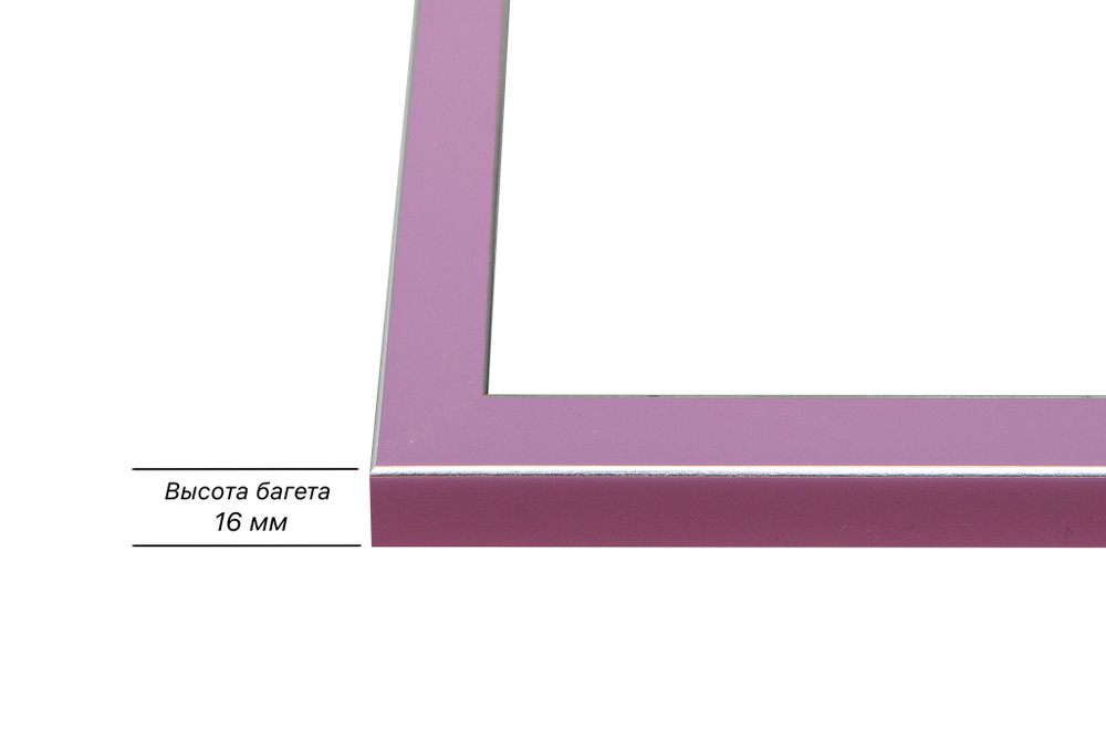 Рама 30x90 для картин и фотографий RP0460256-56