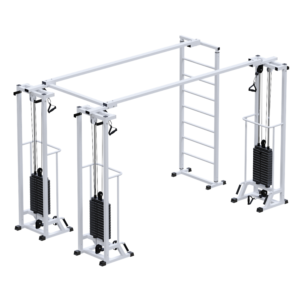 Биотонус-3+шведская стенка (стек 3х75кг)
