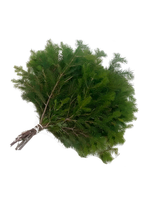 Пихтовый лапник