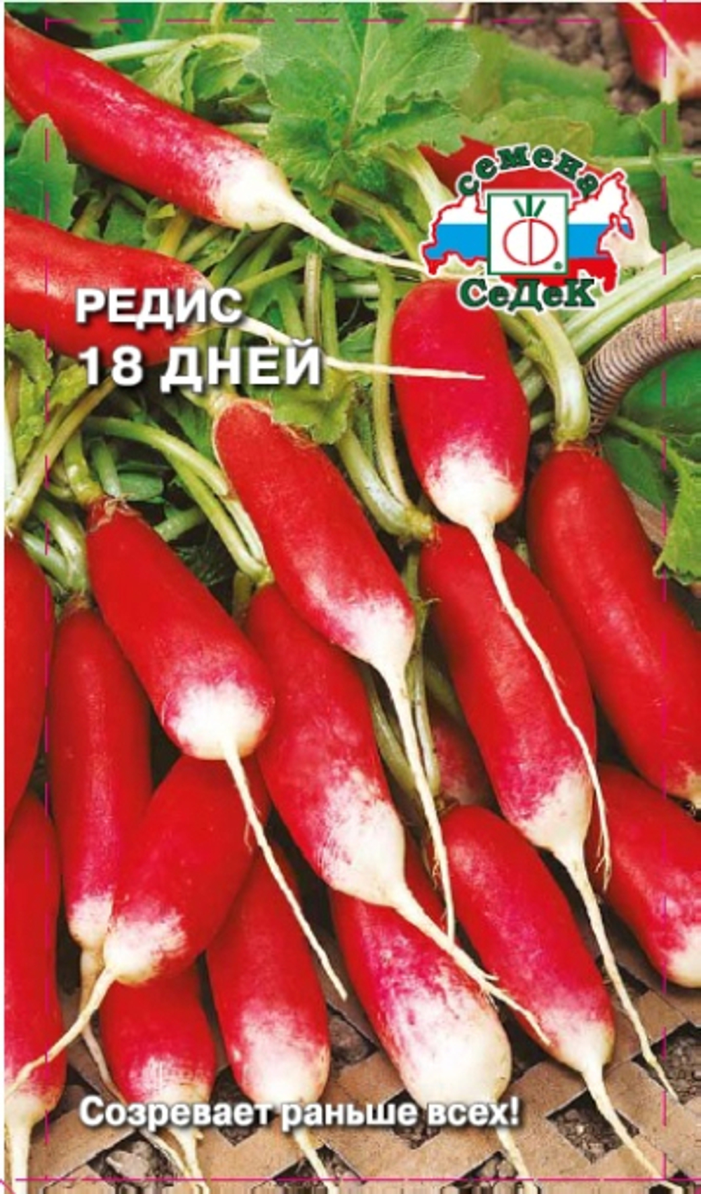 Редис 18 Дней