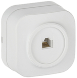 GLORY Розетка для открытой установки компьютерная RJ45 кат.5E РК10-ХБм белый матовый IEK